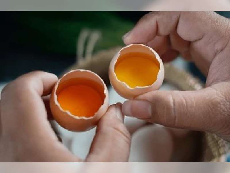 Telur Biasa vs Telur Omega, Mana yang Lebih Sehat? Ini Perbedaan Gizi dan Manfaatnya