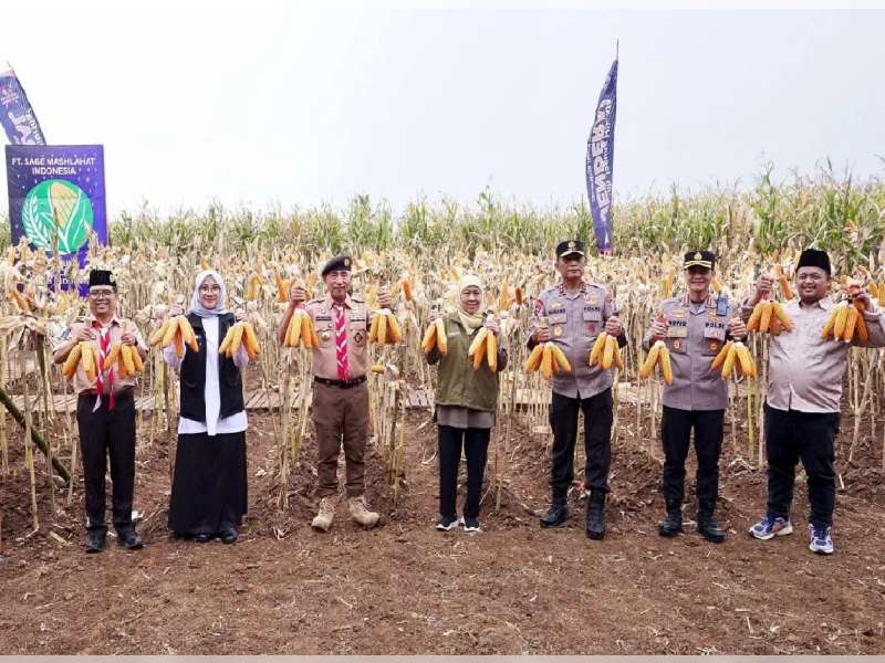 Jawa Timur Jadi Kontributor Jagung Tertinggi Nasional, Produksi Tembus 4,8 Juta Ton