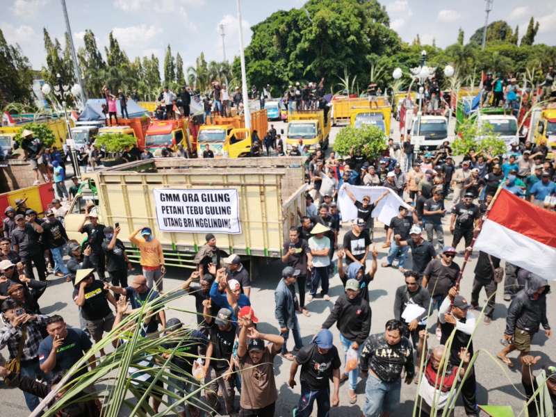 Ribuan Petani Tebu Gelar Aksi Unjuk Rasa, Tuntut Bulog Segera Perbaiki Pabrik GMM
