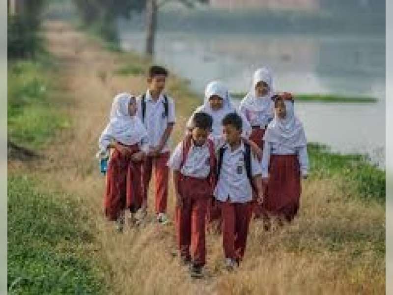 Pentingnya Peran Keluarga dan Lingkungan Pendidikan dalam Memberantas Angka Anak Tidak Sekolah