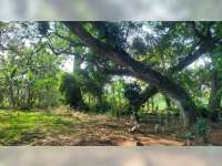 Mengungkap Jejak Pesantren Kuno Guyangan di Balik Mbah Kintir atau Kiai Januddin