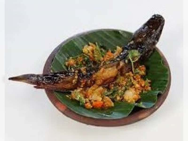 Perbandingan Gizi Ikan Lele dan Ikan Salmon sebagai Sumber Protein