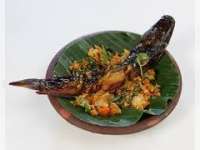 Perbandingan Gizi Ikan Lele dan Ikan Salmon sebagai Sumber Protein