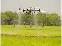 Transformasi Pertanian Bojonegoro Lewat Teknologi Drone Sprayer di Desa Sumodikaran