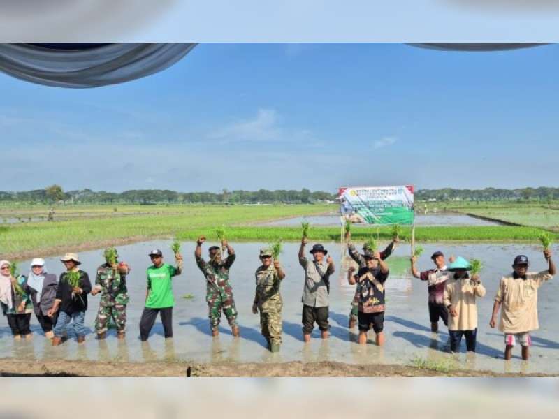 Bojonegoro Perkuat Ketahanan Pangan Melalui Percepatan Tanam Serempak dan Inovasi Spiritual