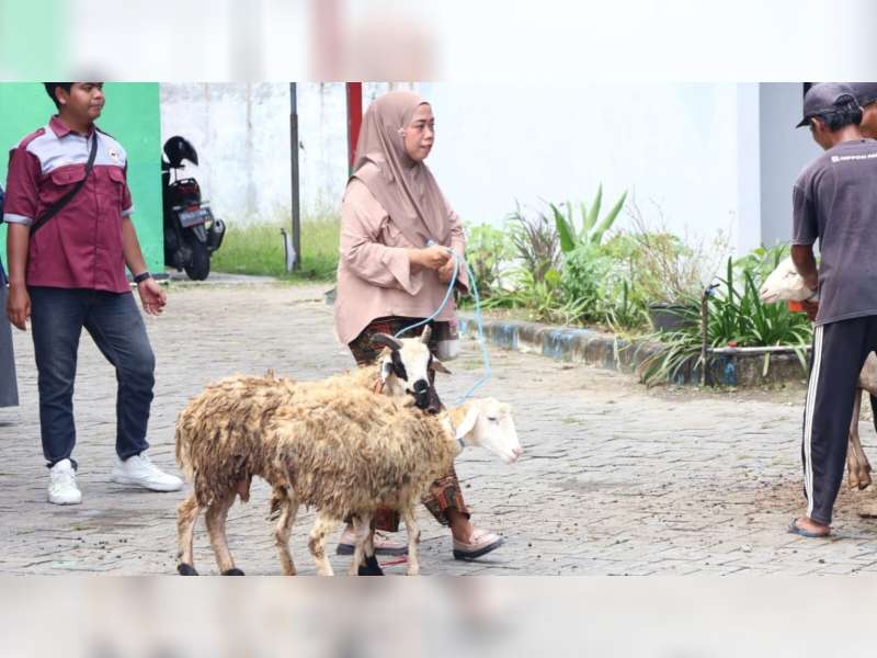 Pemkab Bojonegoro Alokasikan Rp21 Miliar untuk Program Domba Kesejahteraan, Sasar Ribuan Keluarga Miskin