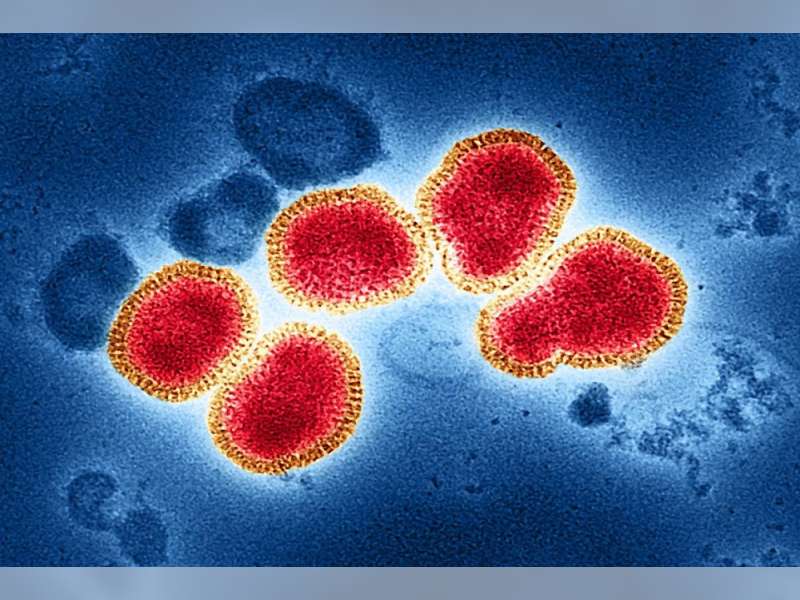Hantavirus Jadi Sorotan Dunia, Ini Penjelasan Ahli soal Penularan dan Bahayanya