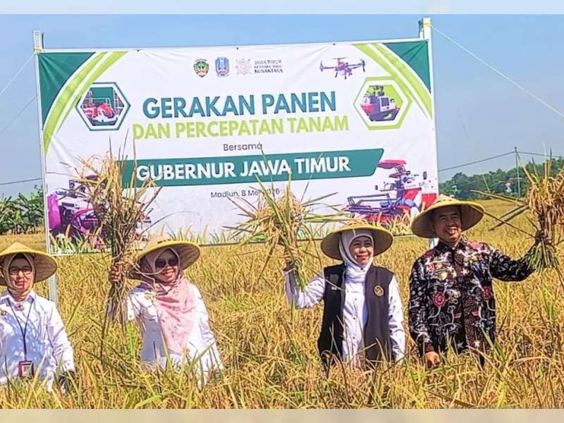 Antisipasi Kemarau Panjang 2026 Pemprov Jatim Instruksikan Percepatan Tanam Padi