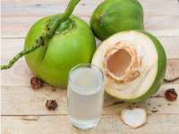 Mengenal Manfaat Air Kelapa untuk Meredakan Gejala Asam Lambung dan Menjaga Kesehatan Tubuh