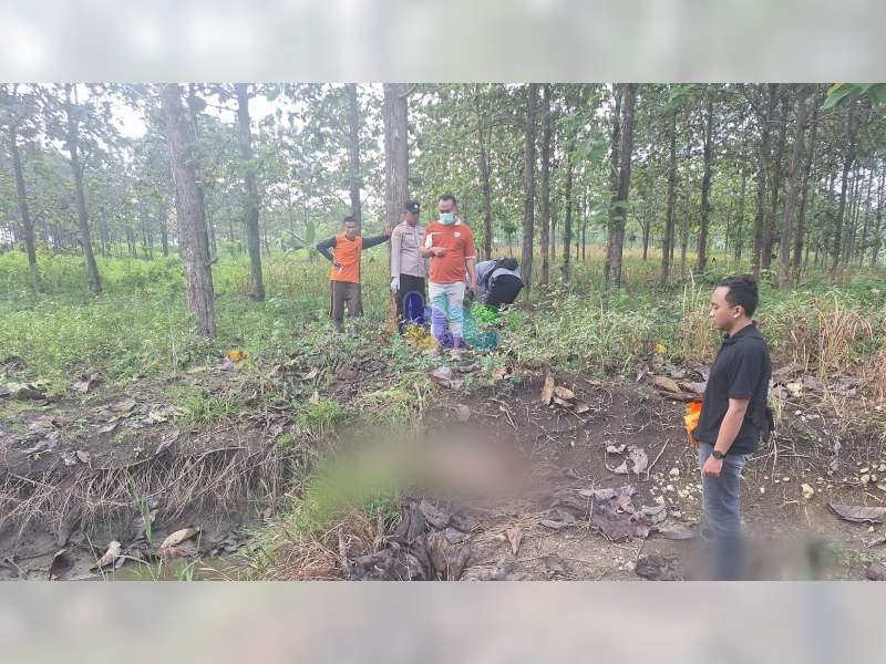 Sesosok Mayat Perempuan Tanpa Identitas Ditemukan di Pinggir Hutan Ngasem, Bojonegoro