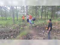 Sesosok Mayat Perempuan Tanpa Identitas Ditemukan di Pinggir Hutan Ngasem, Bojonegoro