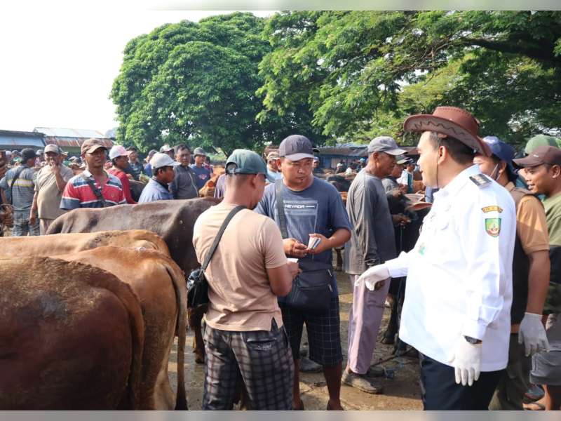 Analis Transaksi Sapi di Blora Tembus Miliaran Rupiah Menjelang Iduladha