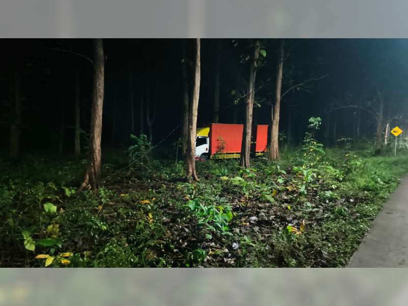 Hendak Mendahului, Truk Boks di Bubulan, Bojonegoro Oleng dan Masuk ke Hutan