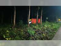 Hendak Mendahului, Truk Boks di Bubulan, Bojonegoro Oleng dan Masuk ke Hutan
