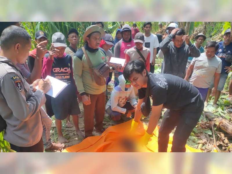 Kerangka Manusia Ditemukan di Tengah Hutan Temayang, Bojonegoro