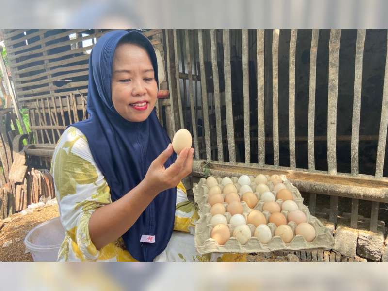 Cara Cerdas Petani Bojonegoro Menguatkan Ekonomi Keluarga