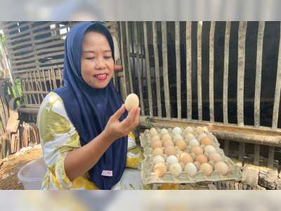 Cara Cerdas Petani Bojonegoro Menguatkan Ekonomi Keluarga