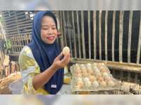 Cara Cerdas Petani Bojonegoro Menguatkan Ekonomi Keluarga