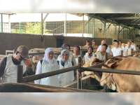 Gubernur Khofifah Kunjungi Peternak Hewan Kurban di Bojonegoro