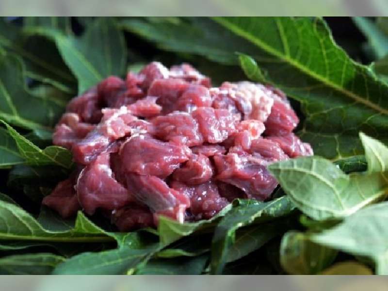 Nanas dan Daun Pepaya Ampuh Mengempukkan Daging Alot, Pakar IPB Jelaskan Cara Kerjanya