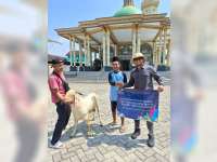 PLN Nusantara Power UP Tanjung Awar-Awar Salurkan 34 Hewan Qurban ke Masyarakat Tuban