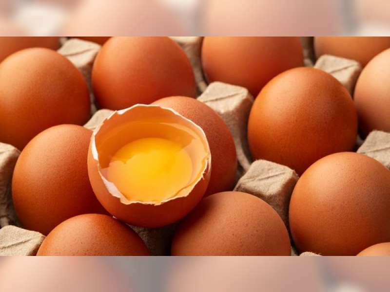 Telur Omega-3 Bukan Berasal dari Ayam Khusus, Begini Penjelasannya