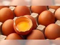 Telur Omega-3 Bukan Berasal dari Ayam Khusus, Begini Penjelasannya