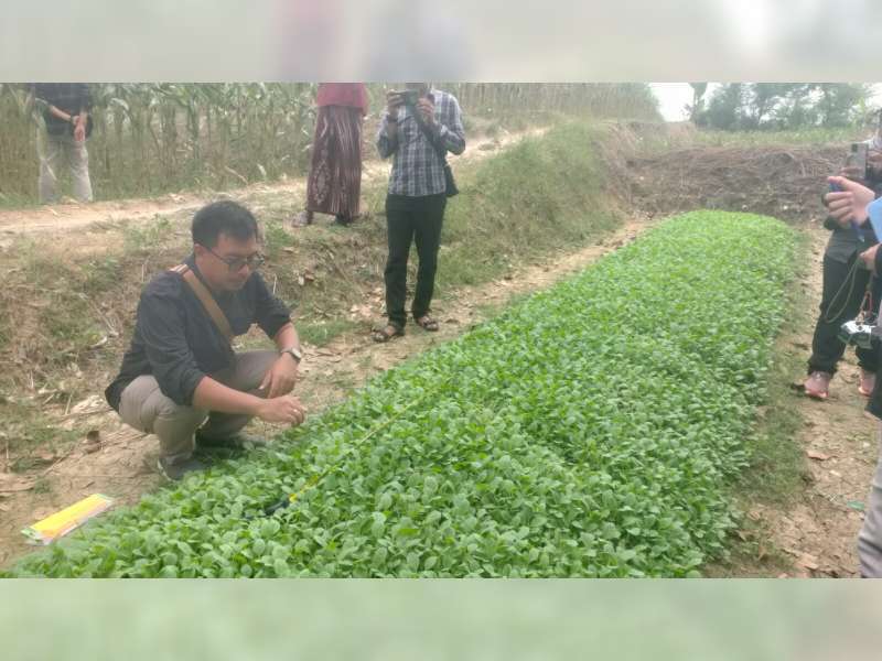 Mudahkan Petani, DKPP Bojonegoro Terapkan Mekanisme Praktis Pengajuan Bantuan Benih Tembakau
