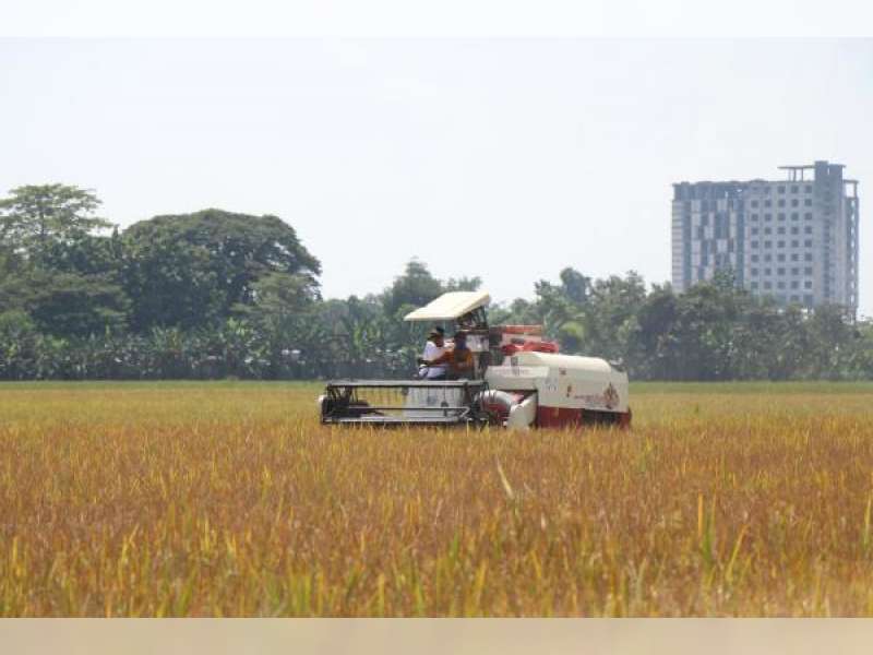 Pertumbuhan Ekonomi Sektor Pertanian di Bojonegoro Capai 11,38 Persen,  Geser Dominasi Migas
