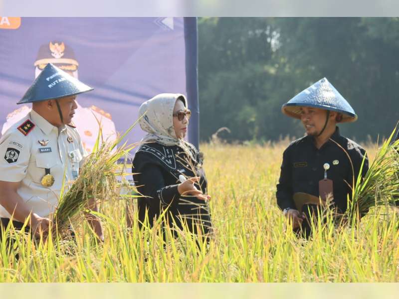 Panen Raya di Rutan Blora, Wabup Dorong Produksi Padi Organik Tembus Pasar Jakarta
