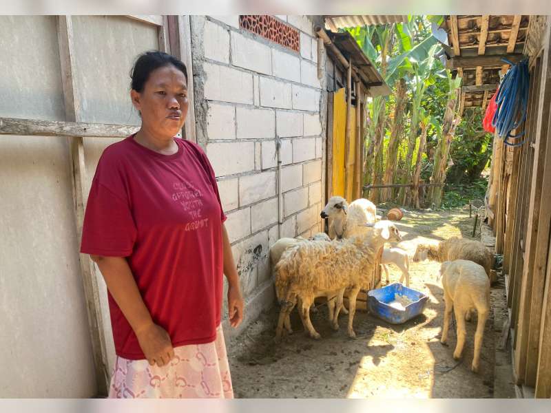Sukses Dongkrak Ekonomi Warga Gayam, Program Domba Kesejahteraan Pemkab Bojonegoro Berbuahkan Hasil