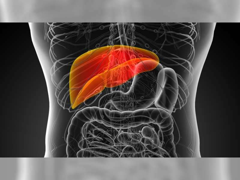 Kenali Tanda Liver Bermasalah dari Gatal-gatal dan Perut Begah