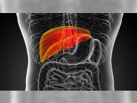 Kenali Tanda Liver Bermasalah dari Gatal-gatal dan Perut Begah
