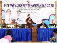 Bojonegoro Naik Peringkat Kedua Penghasil Padi Terbesar di Jatim Pemkab Gelar Intervensi Pangan di Clebung