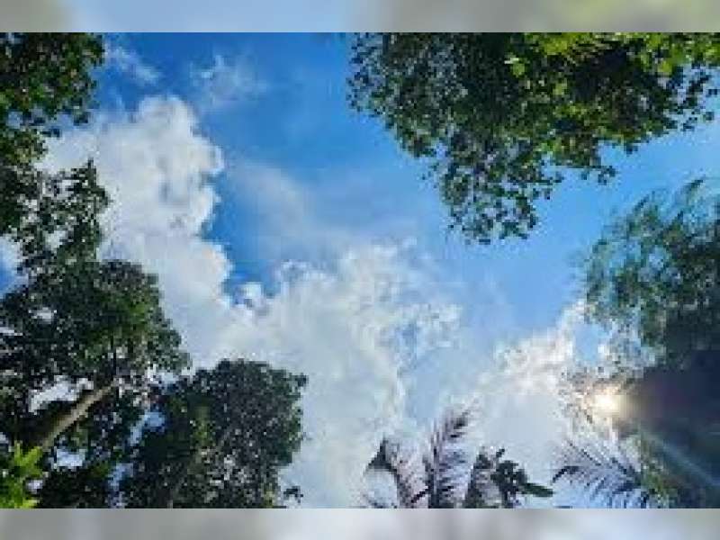 Prakiraan Cuaca 21 Juni 2026 di Bojonegoro