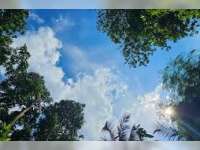 Prakiraan Cuaca Bojonegoro 23 Juni 2026