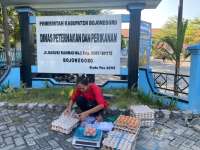 Perluas Pemasaran Telur Program GAYATRI, Disnakkan Bojonegoro Fasilitasi KPM Jualan Rutin Hingga Tembus Instansi Pemerintah