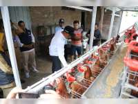 Bantu Keberlanjutan Program GAYATRI, Disnakkan Bojonegoro Matangkan Skema Bantuan Pakan Hingga Penyerapan Telur ke SPPG