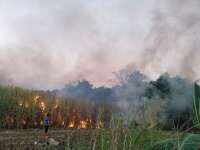Dalam Sehari Enam Kali Kebakaran Lahan di Bojonegoro, Ini Daftarnya