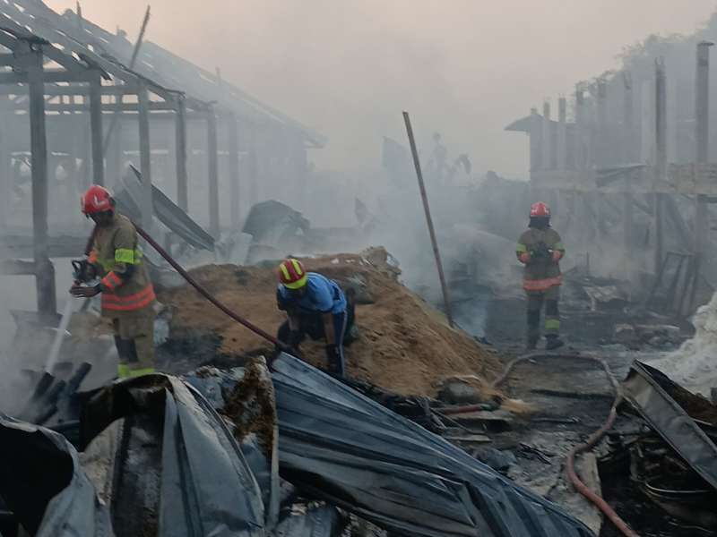 Kandang Ayam Senilai 2 M di Malo, Bojonegoro Ludes Terbakar