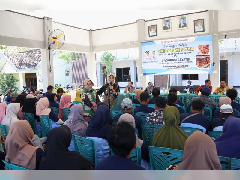 Pemkab Bojonegoro Bekali KPM Gayatri Lewat Bimtek Budi Daya Ayam Petelur