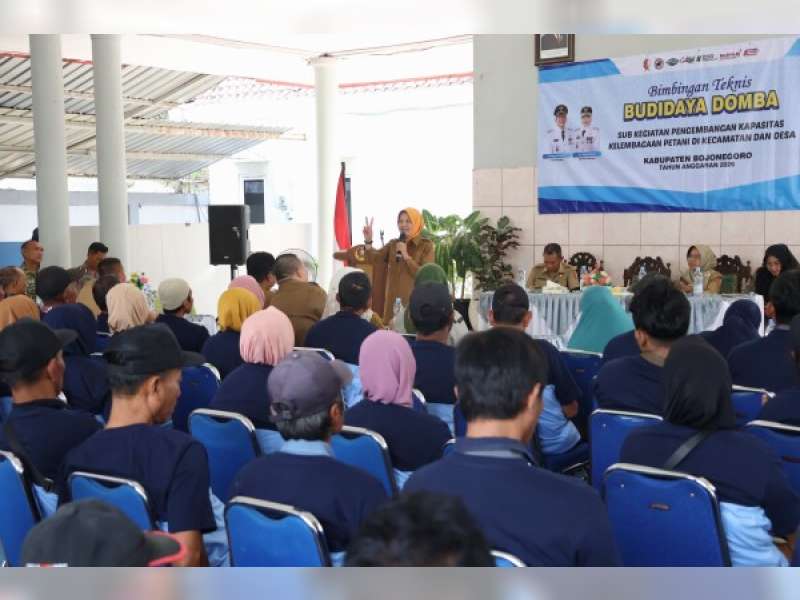 Pemkab Bojonegoro Perluas Program Domba Kesejahteraan Bagi Puluhan Warga Penerima Manfaat di Kecamatan Kapas
