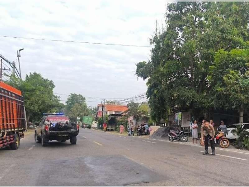Motor Vixion Kontra Truk Ayam di Baureno, Satu Orang Luka Berat