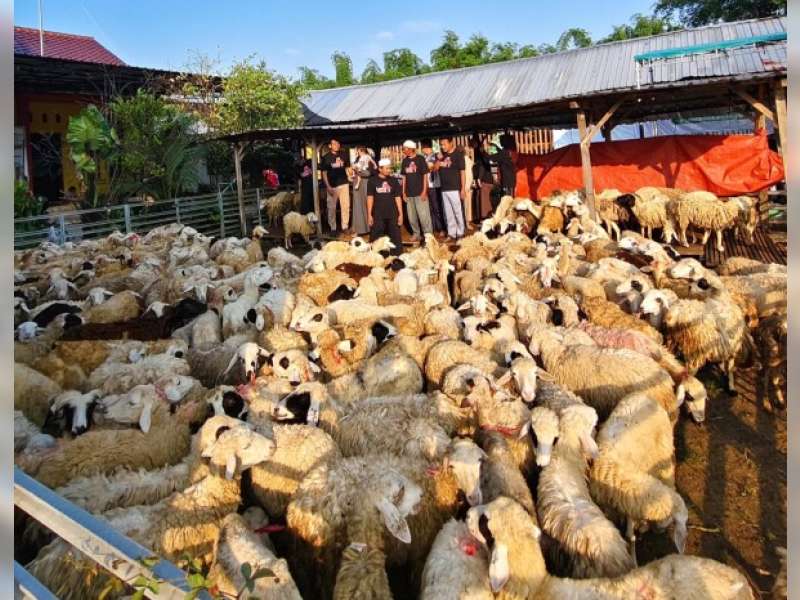 Kisah Sukses Aringga Bayu Puspita, Pemuda Kepohbaru Kembangkan Usaha Aqiqah Hingga Luar Daerah