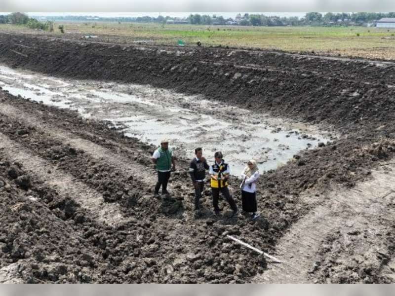 Tingkatkan Kapasitas Irigasi Pertanian, Dinas PU SDA Bojonegoro Rehabilitasi Embung Rowoglandang di Tambakrejo