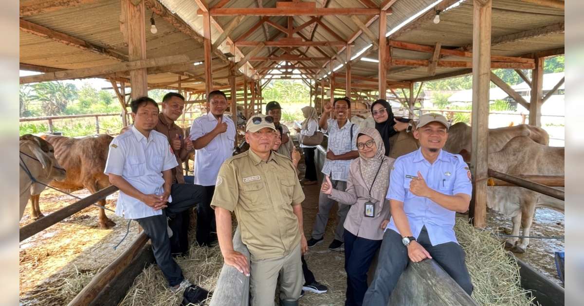 Petugas Inseminasi Buatan Asal Kasiman Ini Wakili Bojonegoro dalam Lomba Tingkat Provinsi