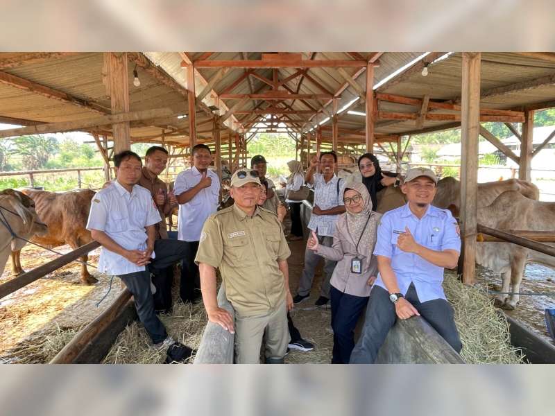 Petugas Inseminasi Buatan Asal Kasiman Ini Wakili Bojonegoro dalam Lomba Tingkat Provinsi