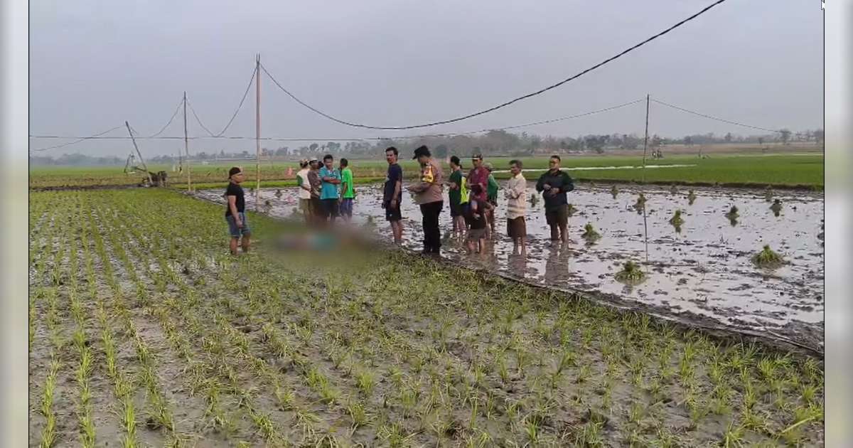 Tersengat Listrik Jebakan Tikus di Sawah, 2 Perempuan di Kasiman, Bojonegoro Meninggal