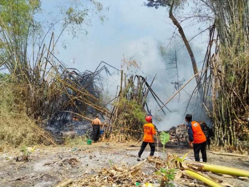 Pembakaran Sampah Diduga Pemicu Kebakaran Lahan di Mojokampung, Gudang Mebel Ikut Hangus