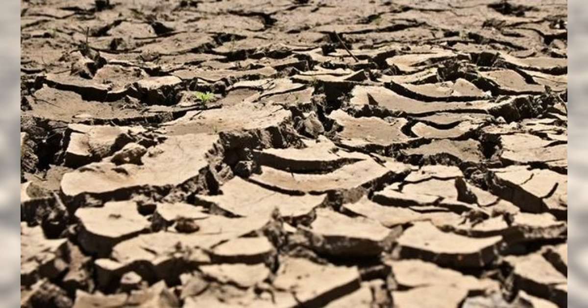 24 Daerah di Jawa Timur Darurat Kekeringan